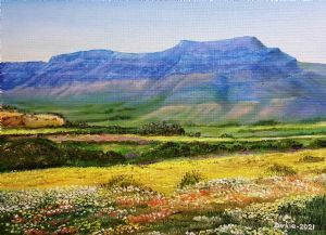 "Clanwilliam Flower Season"