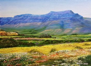"Clanwilliam Flower Season"
