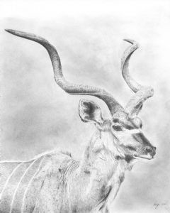 "Majestic"