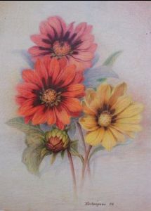 "Cazania"