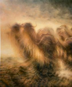 "African Dust"
