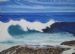 Wild Coast