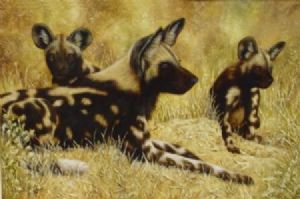 "Wild Dogs"