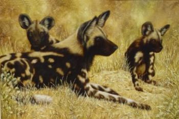 "Wild Dogs"