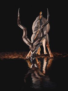 "Night Drinker"