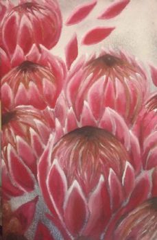 "Proteas"