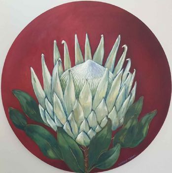 "Pearly White Protea"