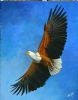"African Fish Eagle - Soaring Wonder"