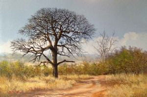 "Jackalberry Southern Kruger Park"
