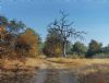 "Crocodile River Road Near Crododile Bridge"