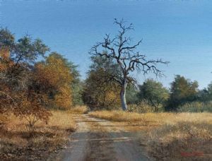 "Crocodile River Road Near Crododile Bridge"