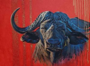 "Africa's wild cattle - Cape buffalo"