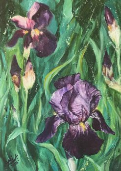 "Purple Iris "