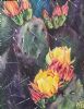 "Cactus Flower 2"