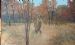 Waterbuck Bull