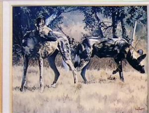 "African Wild Dogs"