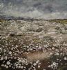 "Namaqualand 4"