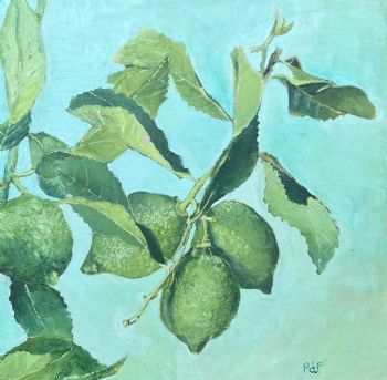 "Unripe Lemons"