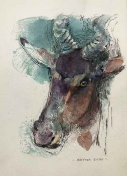 "Red Hartebeest"
