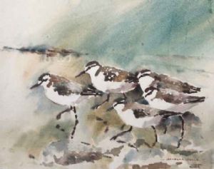 "Sanderlings 5"