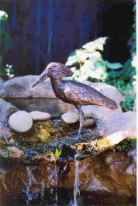 "Hamerkop "