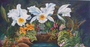 "A Splash of Colour"