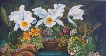"A Splash of Colour"