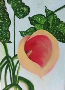 "Yellow Arum"