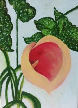 "Yellow Arum"