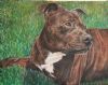 "Portrait of Turbo"