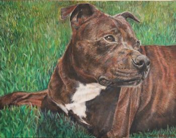 "Portrait of Turbo"