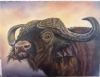 "Buffalo Under the Sunset"