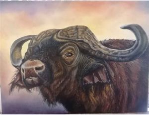 "Buffalo Under the Sunset"