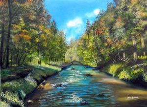"Water Reflections"