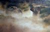 "Silent Protest - Dust at Dawn"