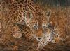 "Leopard and Cub = First Limited Edition Print"