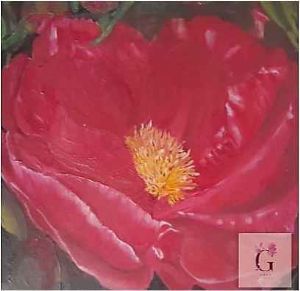 "Glistening Hot Pink Flower Up Close "