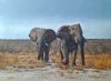 "Etosha Heat of Day"