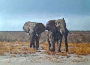 "Etosha. Heat of Day"