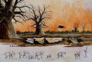 "Ground hornbills and Baobabs "