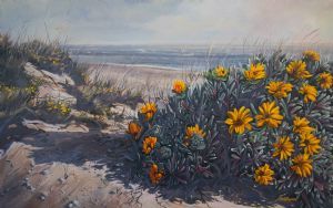 "Dune Daisies"