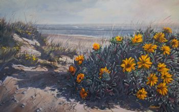 "Dune Daisies"
