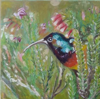 "Hummingbird"