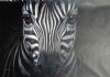 "Zebra 9"