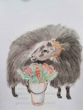 "Buckets of Blooms Proteas"