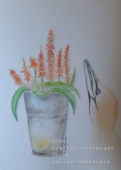 "Bucket of Blooms Aloe"