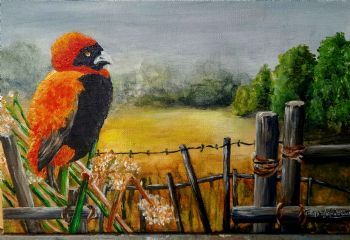 "Sitting On The Fence"