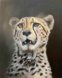 "Cheetah"