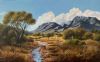 "Winter Bushveld"