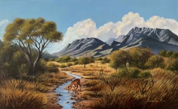 "Winter Bushveld"